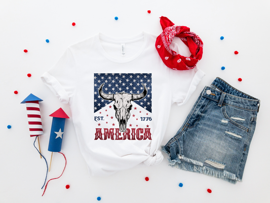 1776 America Graphic Tee